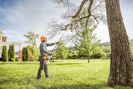 Reliable Wolfhurst, OH Tree Removal and Landscaping Services Solutions